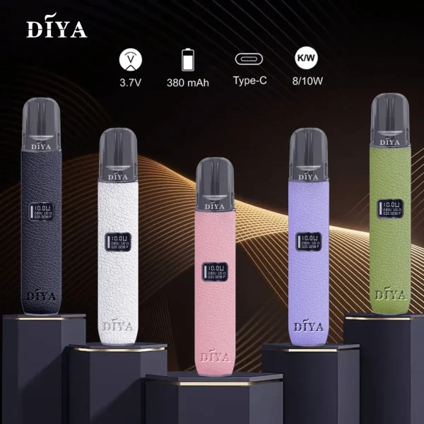 DIYA皮革主機