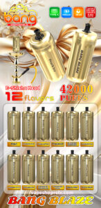 Bang-E-Shisha-42000-Puffs
